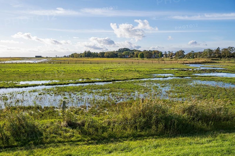 Field near Middelhagen with large puddles, Lobbe, Mönchgut peninsula, Rügen, island, Baltic Sea, Mecklenburg-Western Pomerania, Germany