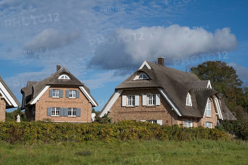 Two new thatched houses next to each other, Lobbe, Mönchgut peninsula, Rügen, island, Baltic Sea, Mecklenburg-Western Pomerania, Germany