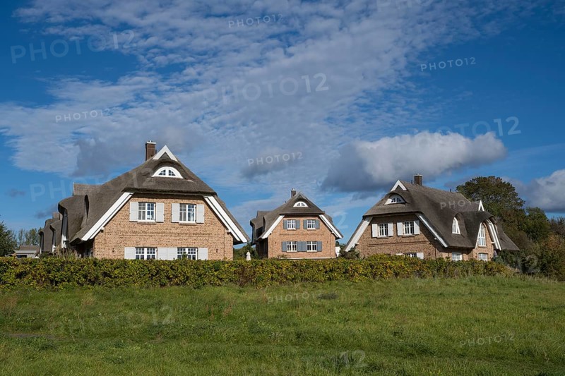 Several new thatched houses next to each other, Lobbe, Mönchgut peninsula, Rügen, island, Baltic Sea, Mecklenburg-Western Pomerania, Germany