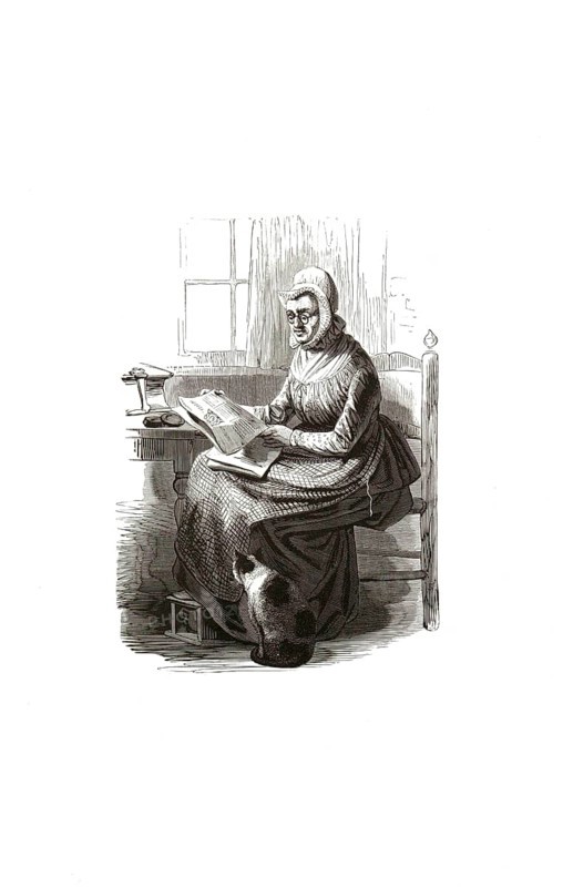 Types from Holland around 1841, De hofjes juffrouw, the lady-in-waiting, courtess or administrator of a farm, Netherlands, authentic, digitally restored reproduction from a 19th century model, exact date of presentation unknown, historical