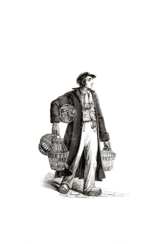 Types from Holland around 1841, Duivenmelker means pigeon fanciers or specifically homing pigeon breeders, Netherlands, authentic, digitally restored reproduction from a 19th century original, exact date of depiction unknown, historical