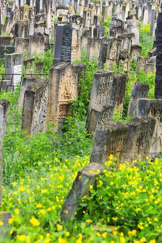 Tombstones at the Jewish cemetery, since 1866, Czernowicz, Bukovina, Ukraine