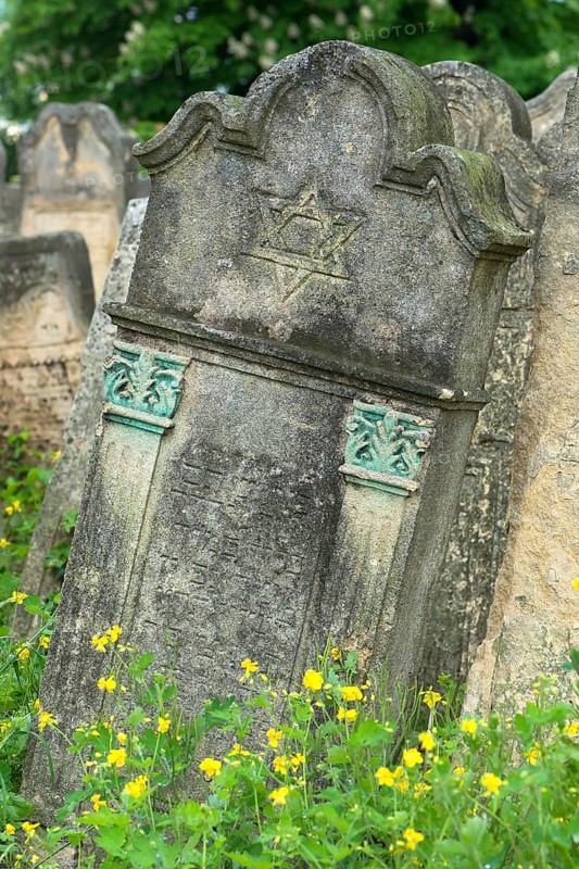 Tombstone with column relief and Star of David, Jewish cemetery, since 1866, Czernowicz, Bukovina, Ukraine