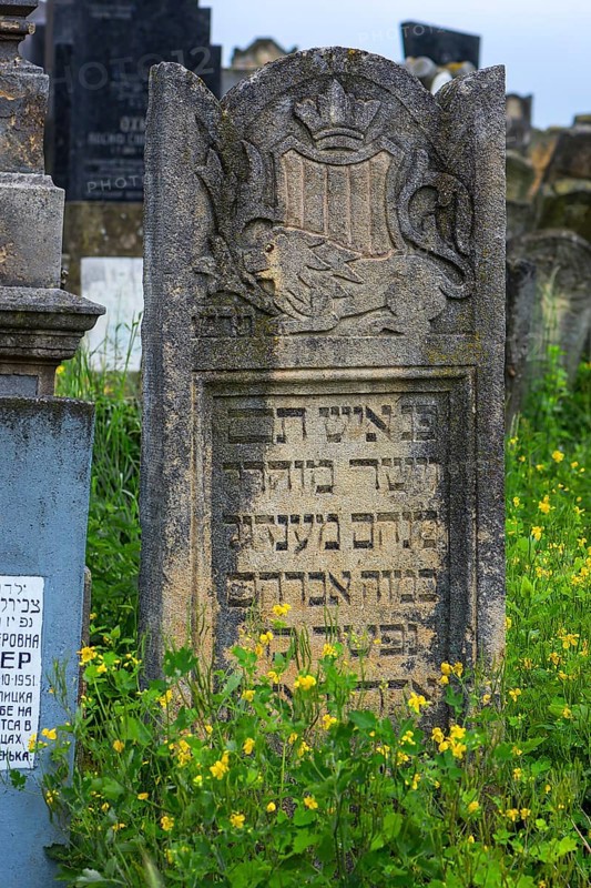 Tombstone and relief of a lion, Jewish cemetery, since 1866, Czernowicz, Bukovina, Ukraine