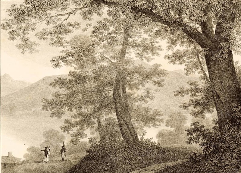 Villa Sommariva garden, now known as Villa Carlotta, is located in Cadenabbia on Lake Como, 1860, Como, Italy, authentic, digitally restored reproduction from a 19th century model, exact date of depiction unknown, historical