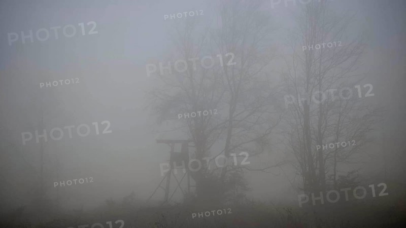 A high chair in a foggy forest, quiet and dull atmosphere, Thuringian Forest nature park Park