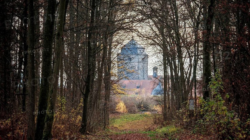 A path leads through a bare forest to a visible castle in the background, view of Rosenberg Fortress, Franconian Forest nature park Park