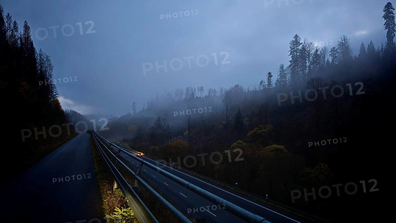 Foggy road at night, surrounded by dark trees, mystical atmosphere, Rennsteig, Upper Franconia