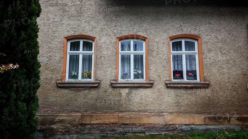 Three glazed windows with curtains and flowers, orchids (Orchidaceae) on a rustic house façade, Rennsteig, Thuringian Forest nature park Park