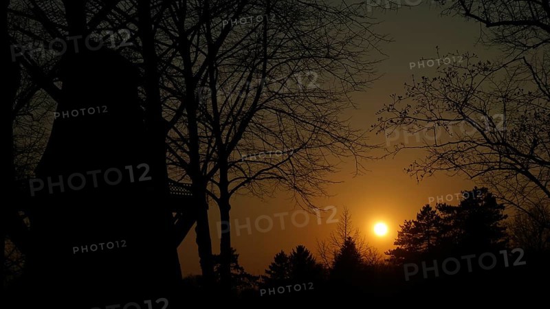 Sunset behind trees, silhouettes of a windmill, create a calm evening mood, Potsdam