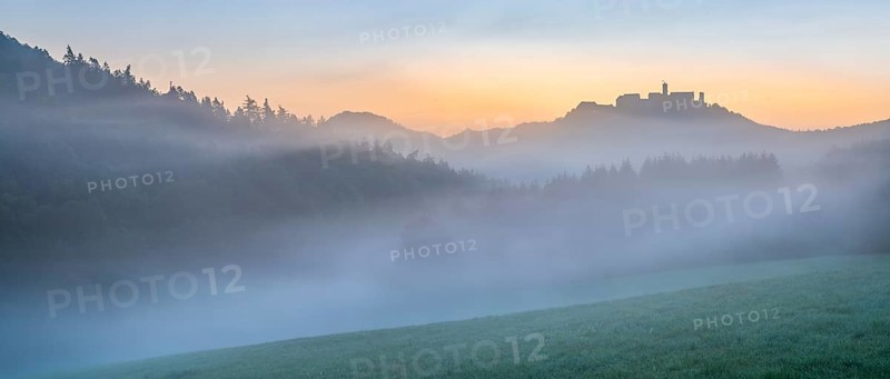 View of Wartburg Castle in the Thuringian Forest at sunrise, morning fog and dawn, meadow with dew, Eisenach, Thuringia, Germany