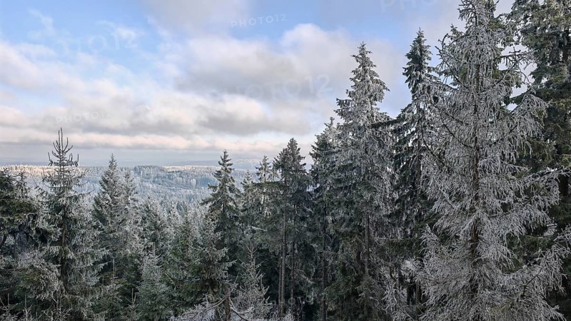Snow-covered trees, firs (abies), spruces (picea) stretch into the distance, under a cloudy blue sky, Fichtelgebirge