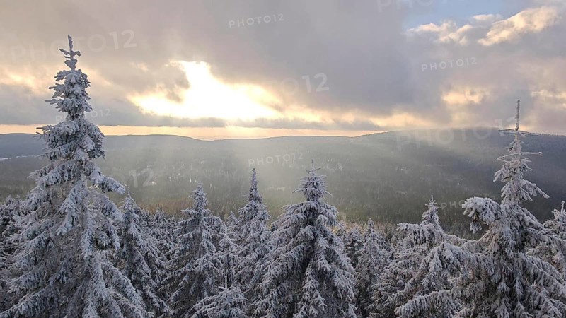 Snow-covered trees, spruces (picea) and wide landscape at sunset, immersed in a quiet winter atmosphere, Fichtelgebirge