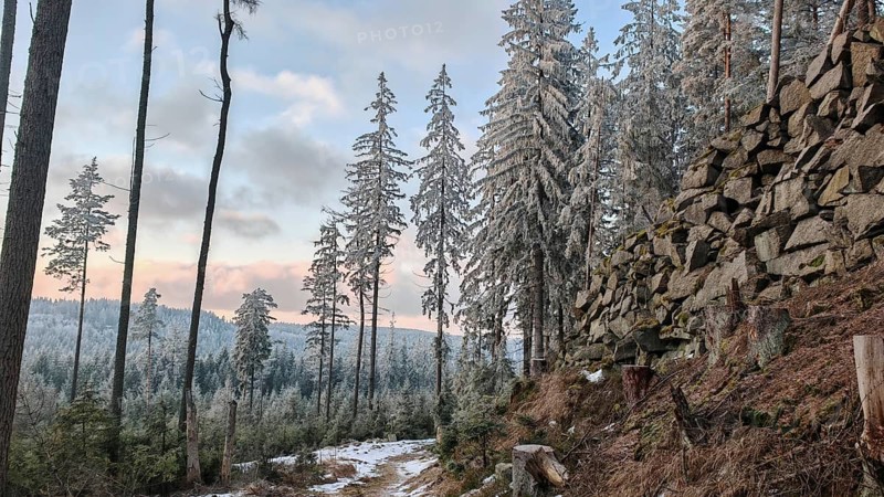 Wintery forest with snow-covered trees and rock formations under cloudy sky, quarry, atmospheric, Fichtelgebirge