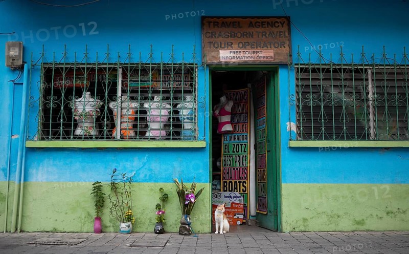 House cat on a colorful house facade in Flores, Petén Department, Guatemala