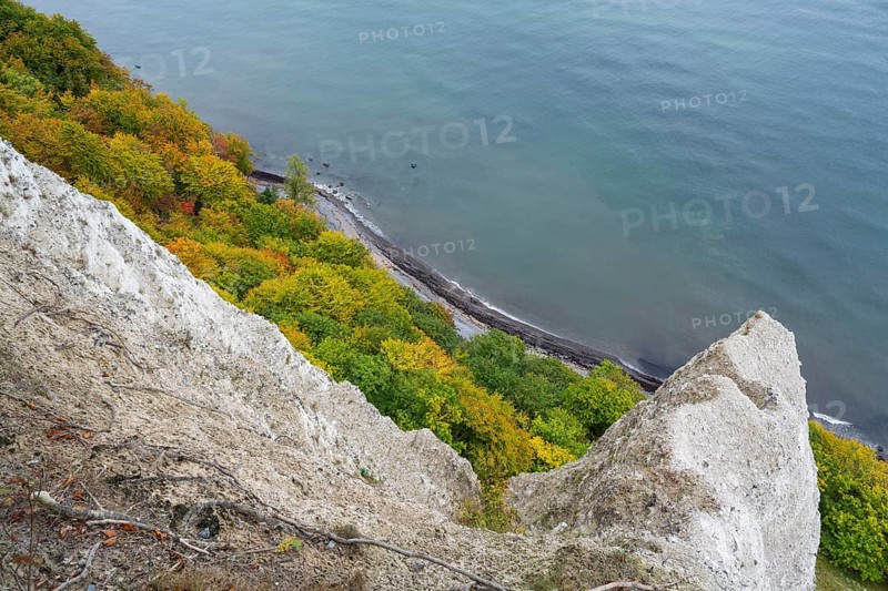 Victoria view of chalk cliffs and Baltic Sea, trees with autumn colors, view down, Jasmund National Park, Sassnitz, Rügen island, Baltic Sea, Mecklenburg-Western Pomerania, Germany