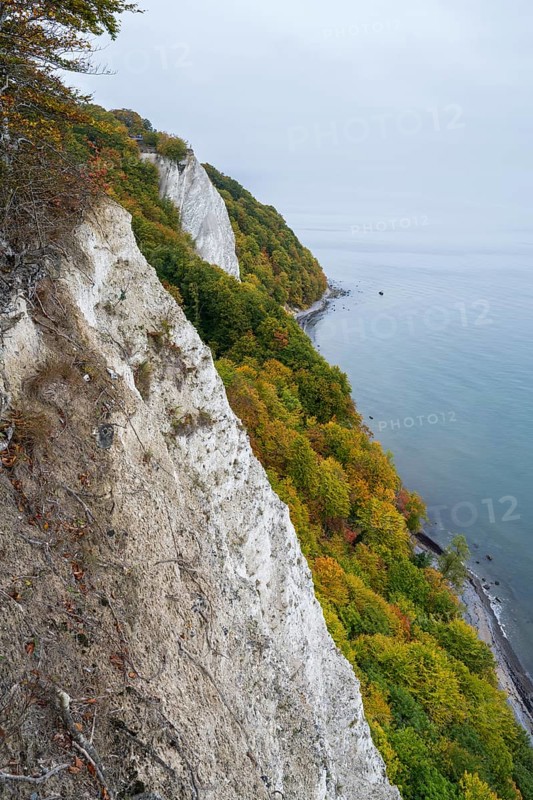 Victoria view of Königsstuhl, chalk cliffs and Baltic Sea, trees with autumn colors, Jasmund National Park, Sassnitz, Rügen island, Baltic Sea, Mecklenburg-Western Pomerania, Germany