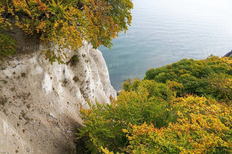 View of chalk cliffs and Baltic Sea, trees with autumn leaves, Jasmund National Park, Sassnitz, Rügen island, Baltic Sea, Mecklenburg-Western Pomerania, Germany