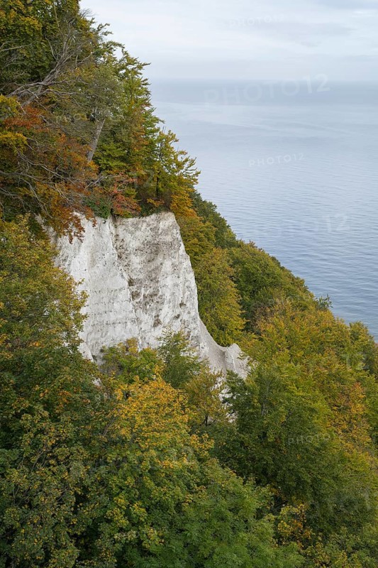 View of the chalk cliffs and Baltic Sea at the Königsstuhl National Park Center, Jasmund National Park, Sassnitz, Rügen Island, Baltic Sea, Mecklenburg-Western Pomerania, Germany