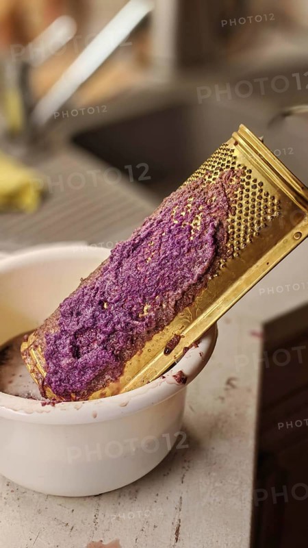 A kitchen grater with which purple potatoes are grated into a white bowl to make dumpling dough, Upper Franconia