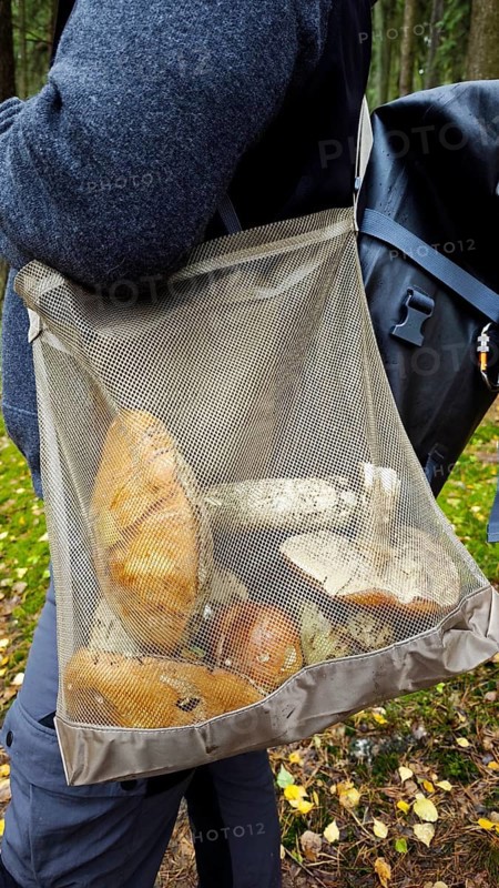 Large net basket with mushrooms on a walker's back, Frankenwald nature park Park