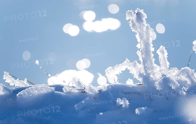 Detailed view of blades of grass covered with ice and snow against a soft, blurred background with light spots, light reflections on the Ilmenau river, bokeh, ice crystals, hoarfrost, frost on a stalk, grass, snowfields, stalks, winter, close-up, macro, frosty, frost, icy, close up, sunny, structure, structures, detailed view, back light, cold, nature, shimmer, points of light, beauty, peaceful scenery, quiet atmosphere, Lower Saxony, Germany