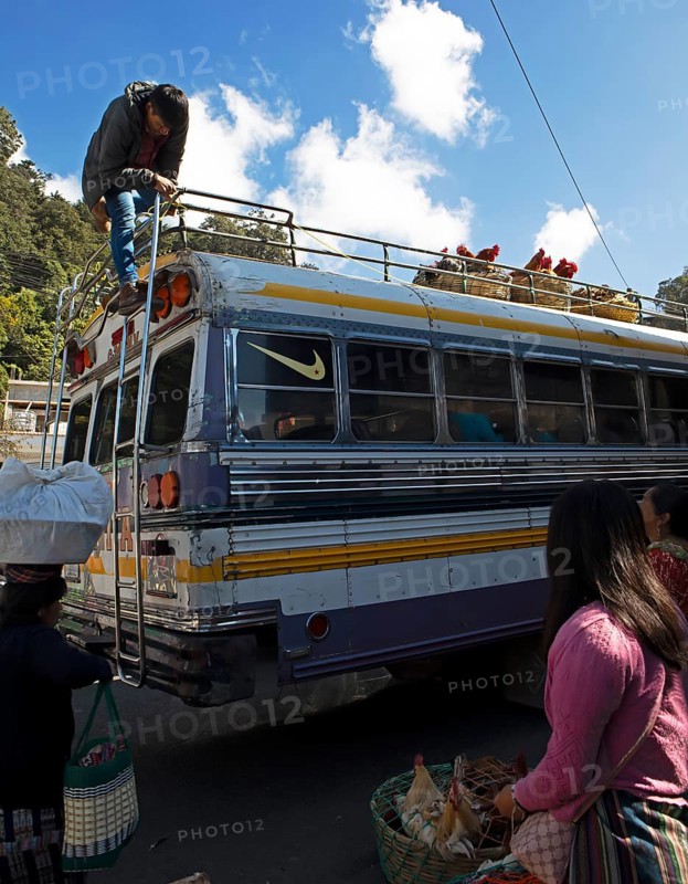 Gualtemalan man packs baskets with chickens on the roof of a bus, market in Sololá, Highlands, Sololá Department, Guatemala