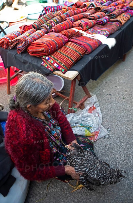 Mayan woman in traditional clothing with a chicken, traditional fabrics in the back, market in Sololá, Highlands, Sololá Department, Guatemala