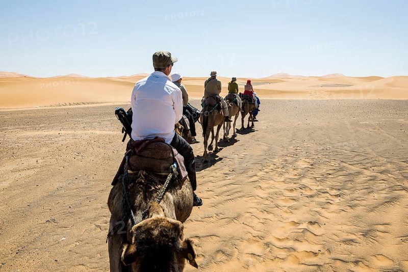 Tourists on dromedaries in the desert, near Merzouga, Meknès-Tafilalet region, Erg Chebbi, northern Sahara, Morocco