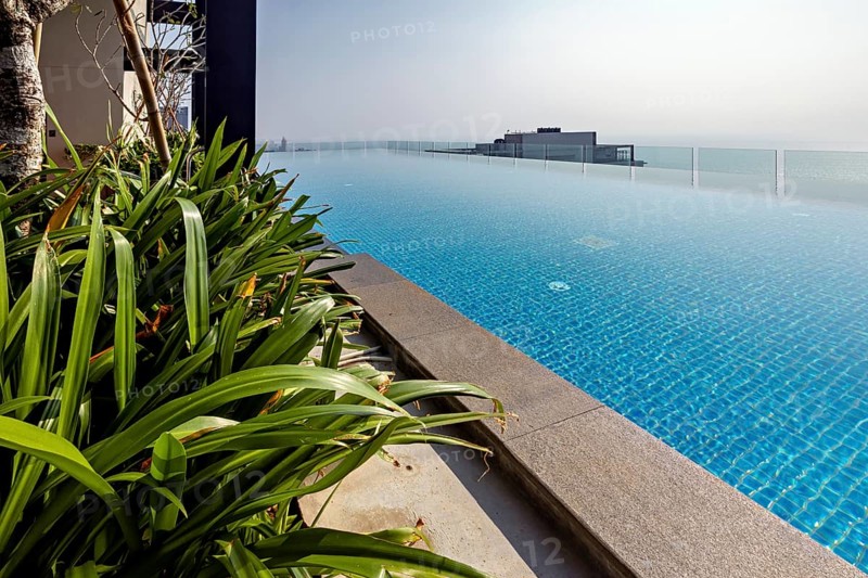 Relaxing infinity pool with ocean views, surrounded by plants, modern ambiance