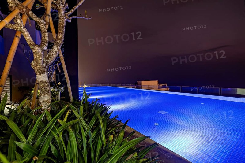 Modern swimming pool at night with blue lighting and plants, creates a peaceful atmosphere, infinity pool over the rooftops of Colombo in Sri Lanka