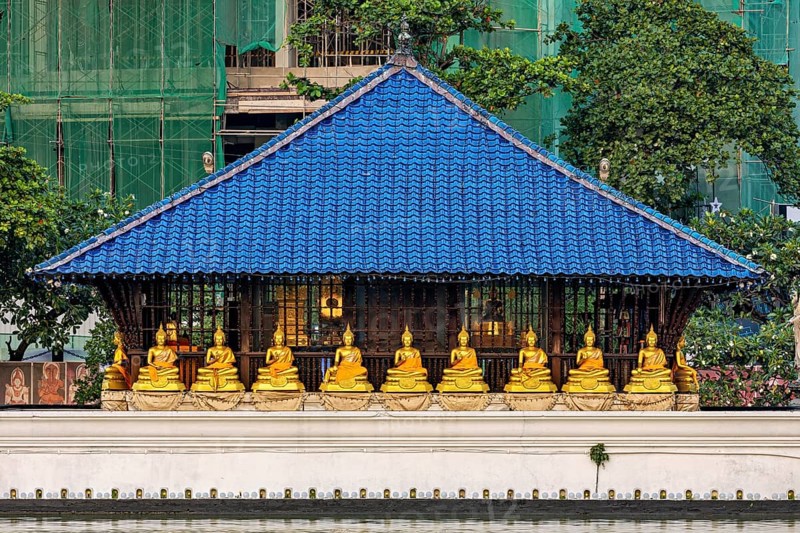 Several golden Buddha statues sit in a temple with a blue roof in front of green surroundings, The Seema Malaka Temple in Colombo in Sri Lanka