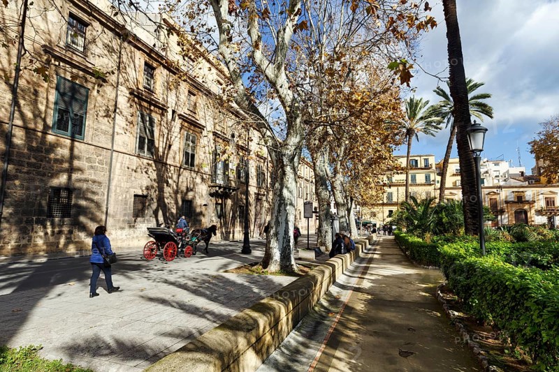 Villa Bonanno, public park, avenue with trees, plane trees and palm trees, horse-drawn carriage, passer-by, Palermo, Sicily, Italy