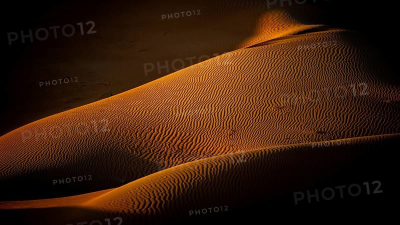 Sand dunes in the Rhub al Khali desert, detailed view, empty quarter, largest sandy desert in the world, Oman