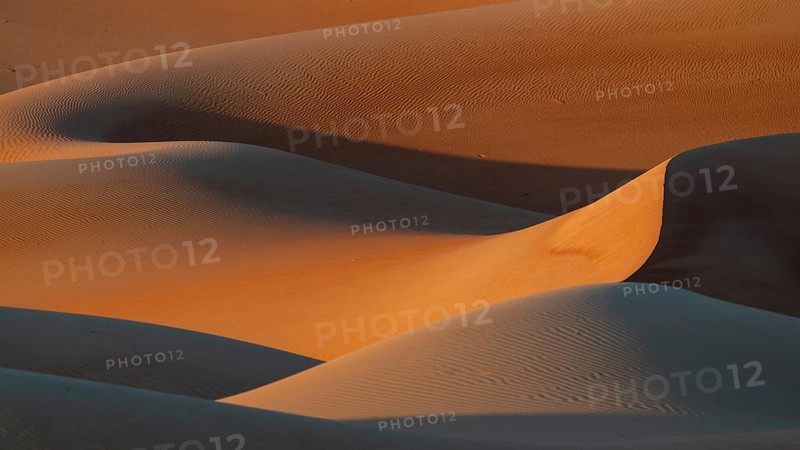 Sand dunes in the Rhub al Khali desert, empty quarter, largest sandy desert in the world, Oman