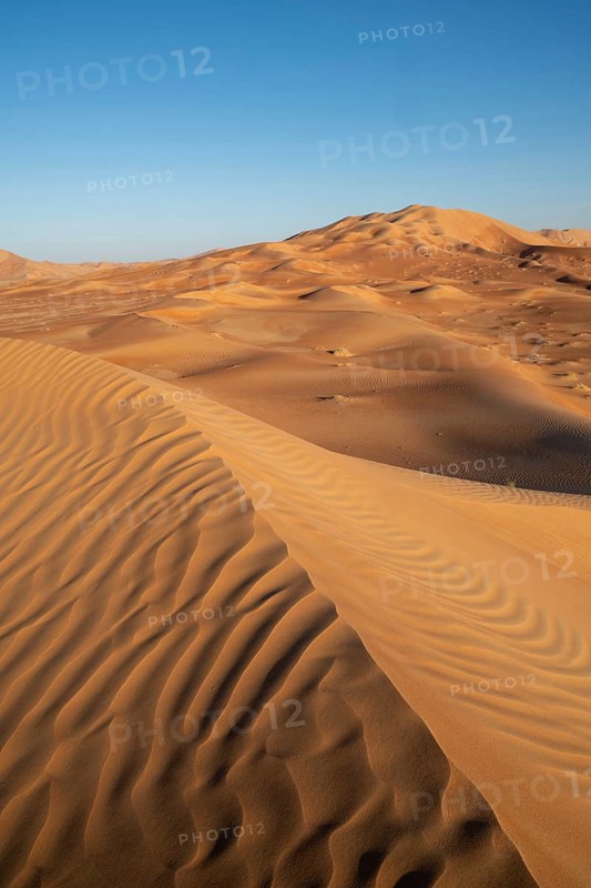 Sand dunes in the Rhub al Khali desert, empty quarter, largest sandy desert in the world, Oman