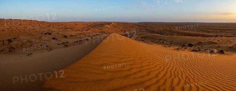 Sand dunes in the Wahiba Sands desert, Oman