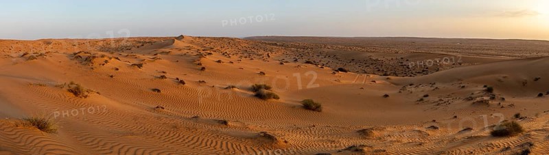Sand dunes in the Wahiba Sands desert, Oman