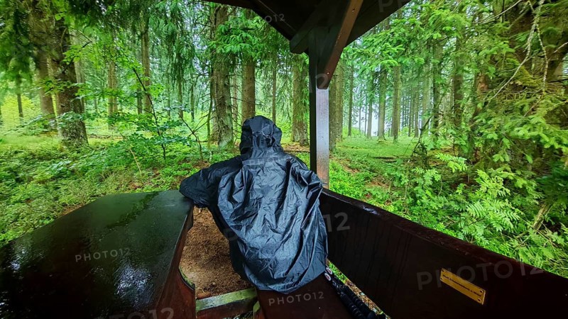 Person under a wooden shelter in a rainy forest, surrounded by lush greenery, Fichtelgebirge, Upper Franconia