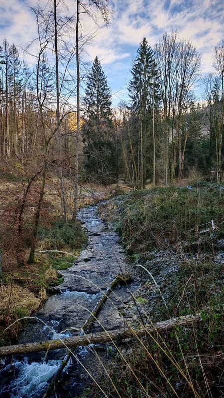 A small stream flows through the wintry forest, surrounded by bare trees and blue skies, Frankenwald nature park Park