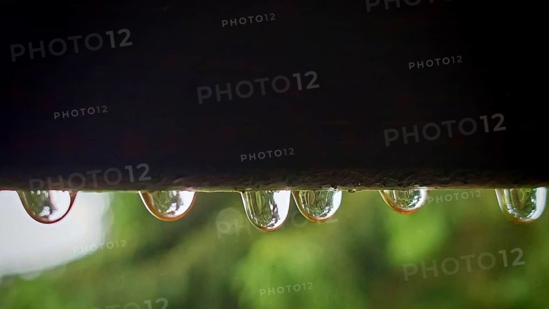 Close-up of water droplets hanging on a dark surface, Rennsteig, Thuringian Forest