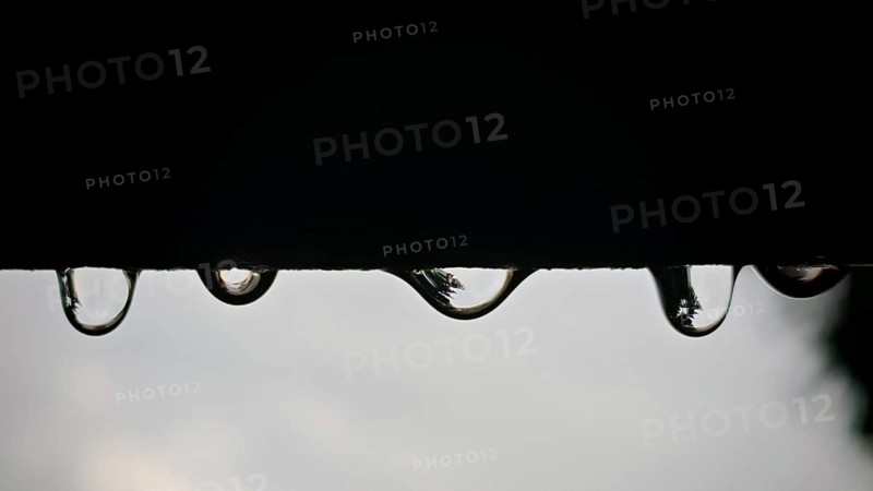 Drops of water hang on a dark surface, blurred reflections in the background, Rennsteig, Thuringian Forest