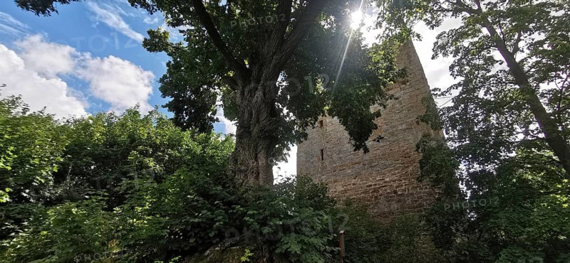 Old tower next to a big tree under a blue sky with sun