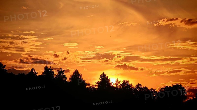 Dramatic sunset with silhouetted trees and bright orange sky
