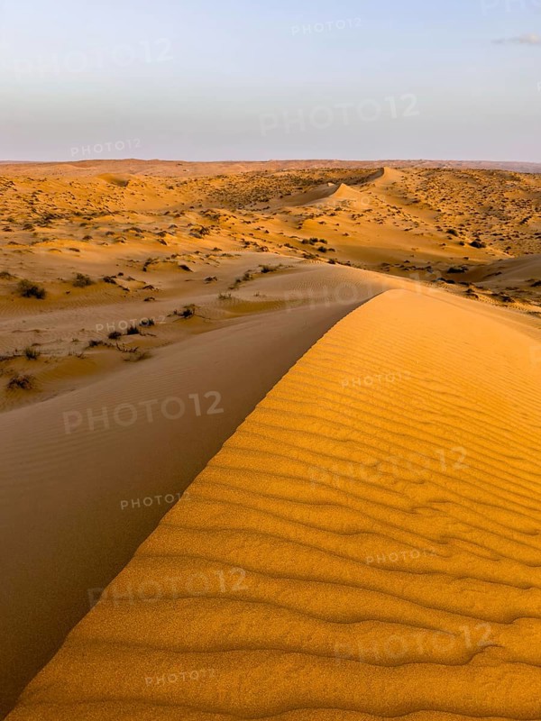 Sand dunes in the Wahiba Sands desert, Oman