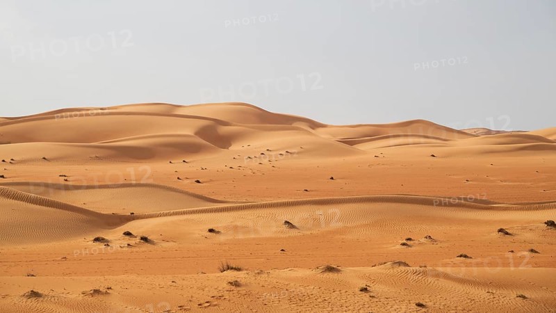 Sand dunes in the Wahiba Sands desert, Oman