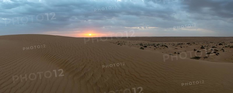 Sunset, sand dunes in the Wahiba Sands desert, Oman