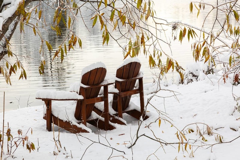 Two brown stained wooden Adirondack chairs by riverside framed by Salix - Willow tree branches covered with winter like snow in late autumn, Ile des Moulins, Old Terrebonne, Quebec, Canada
