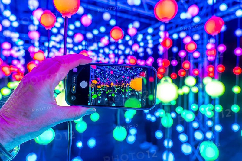 Park lights, winter event, in the Grugapark in Essen, many different light installations, across the park, attract many thousands of visitors, light work of art consisting of many hundreds of hanging ball lamps, LEDs, with changing colors, accessible, North Rhine-Westphalia, Germany