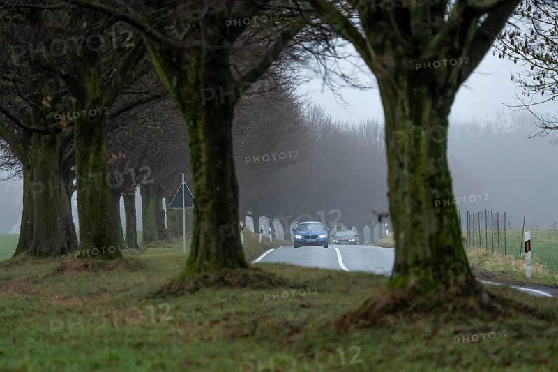 Thick fog, with low visibility, country road, Schuirweg, bare trees, winter, in Essen, North Rhine-Westphalia, Germany